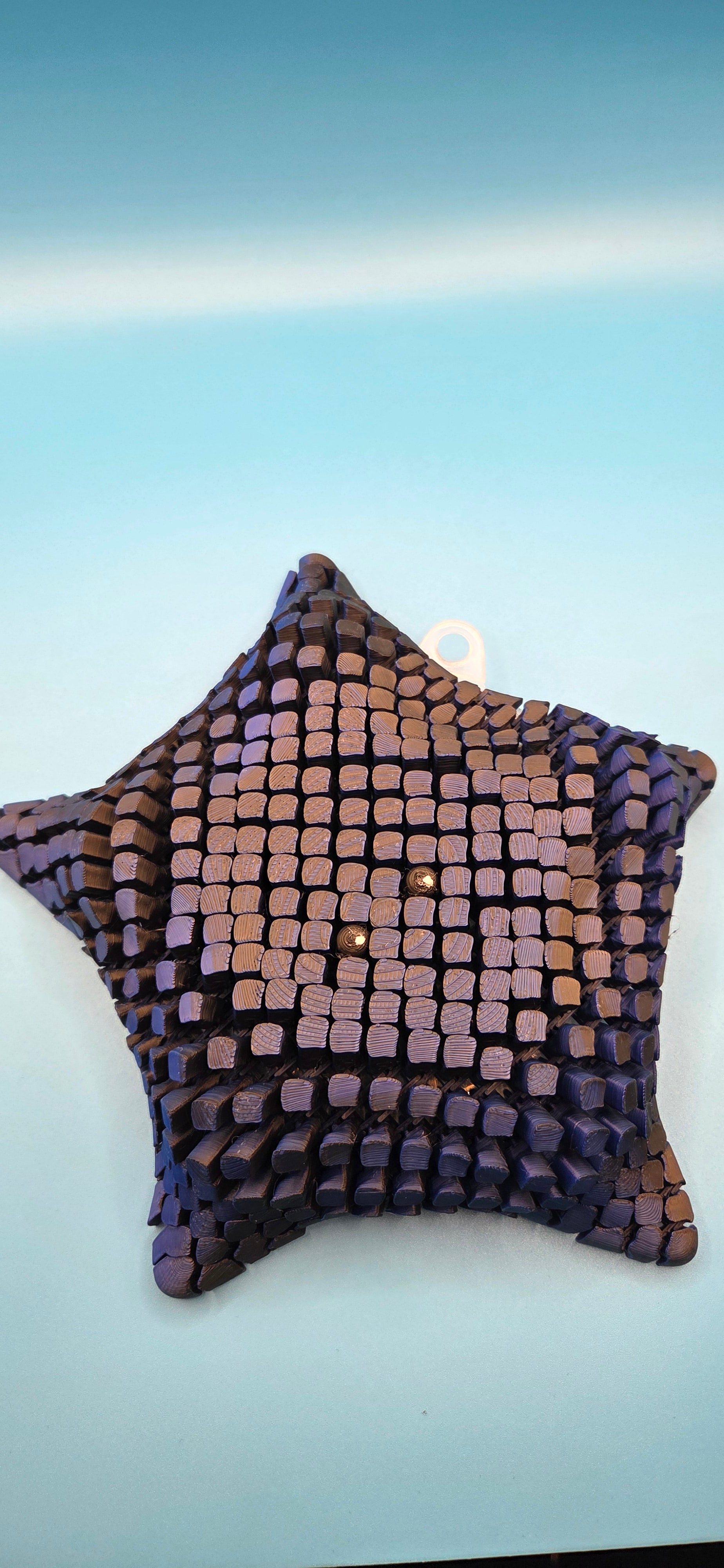 3D printed articulating starfish