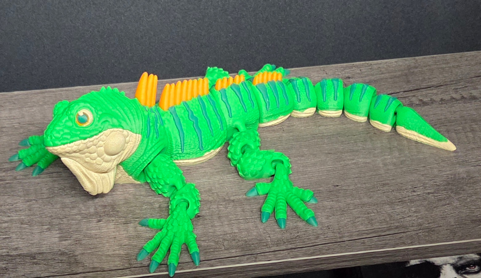 3D Printed Flexi Iquana