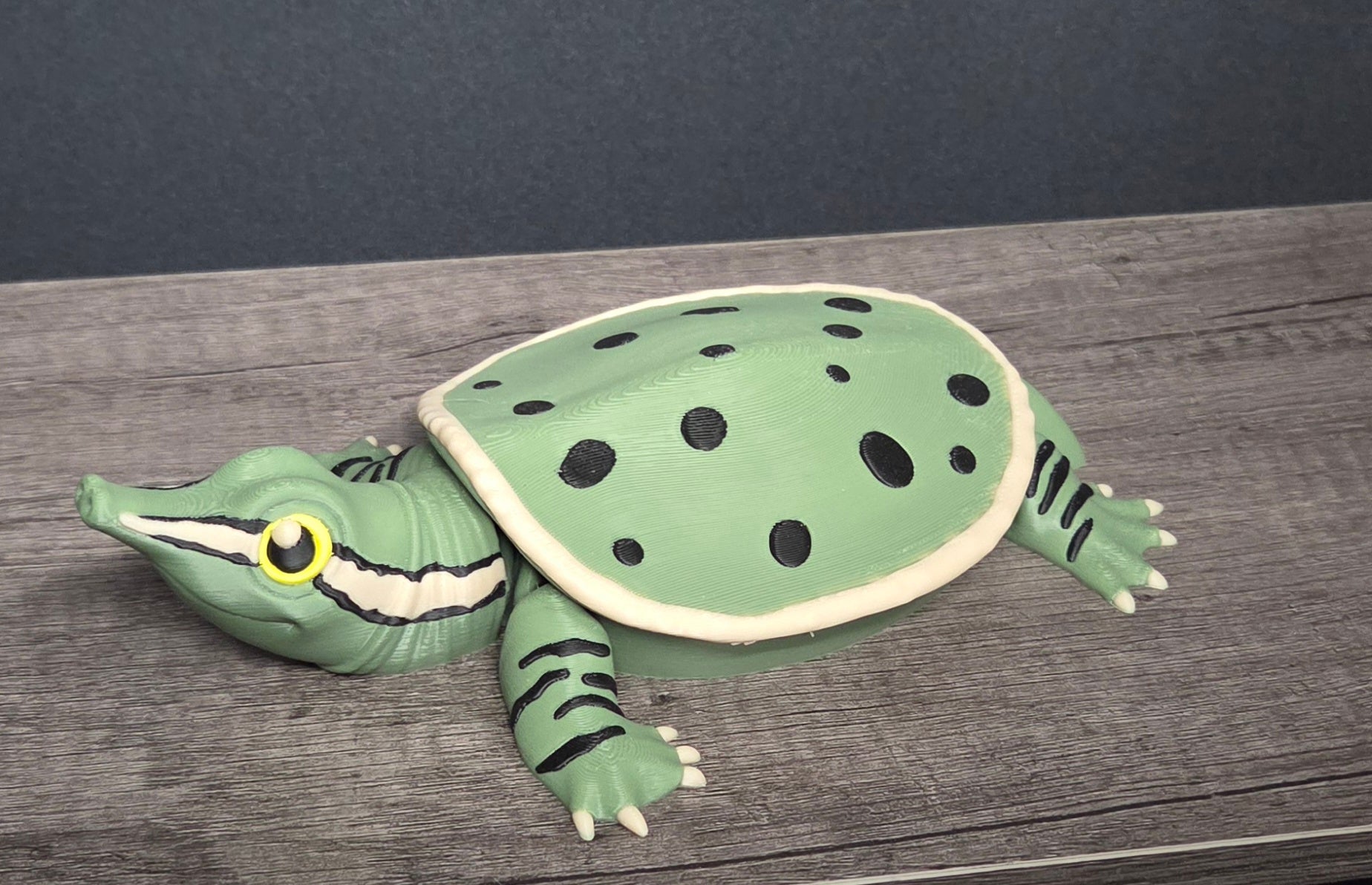 3D Printed Flexi Soft Shell Turtle