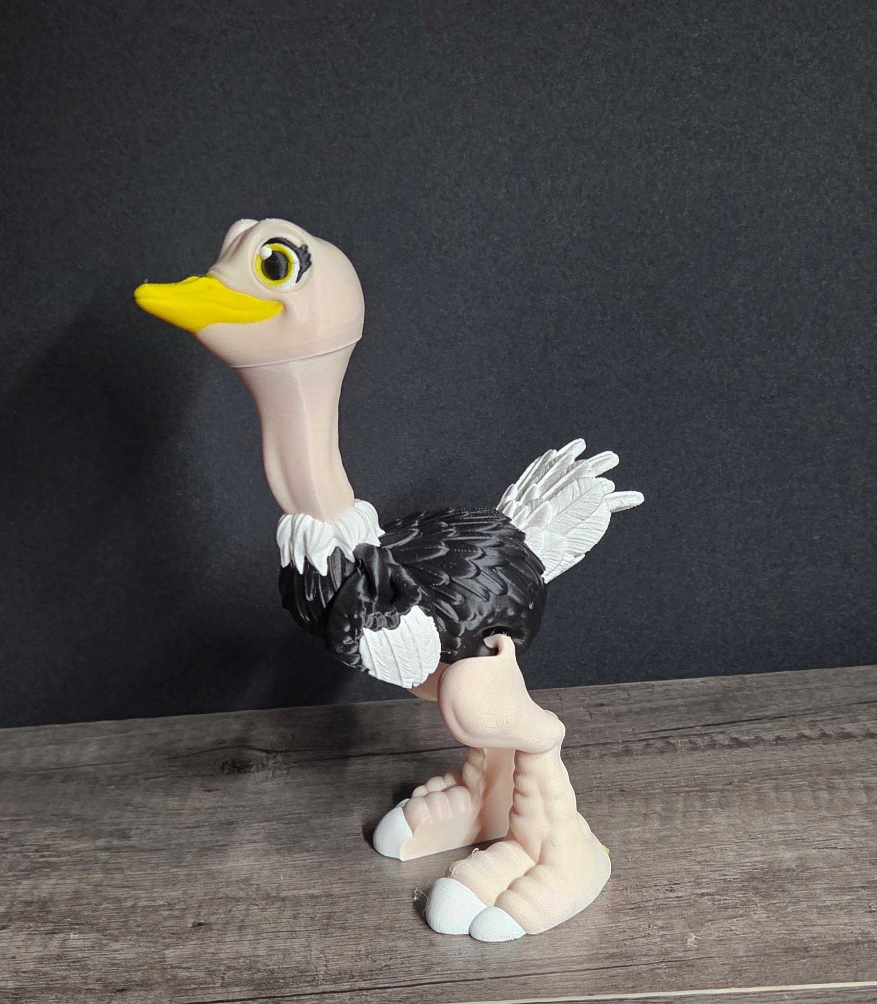 3D Printed Flexi Ostrich