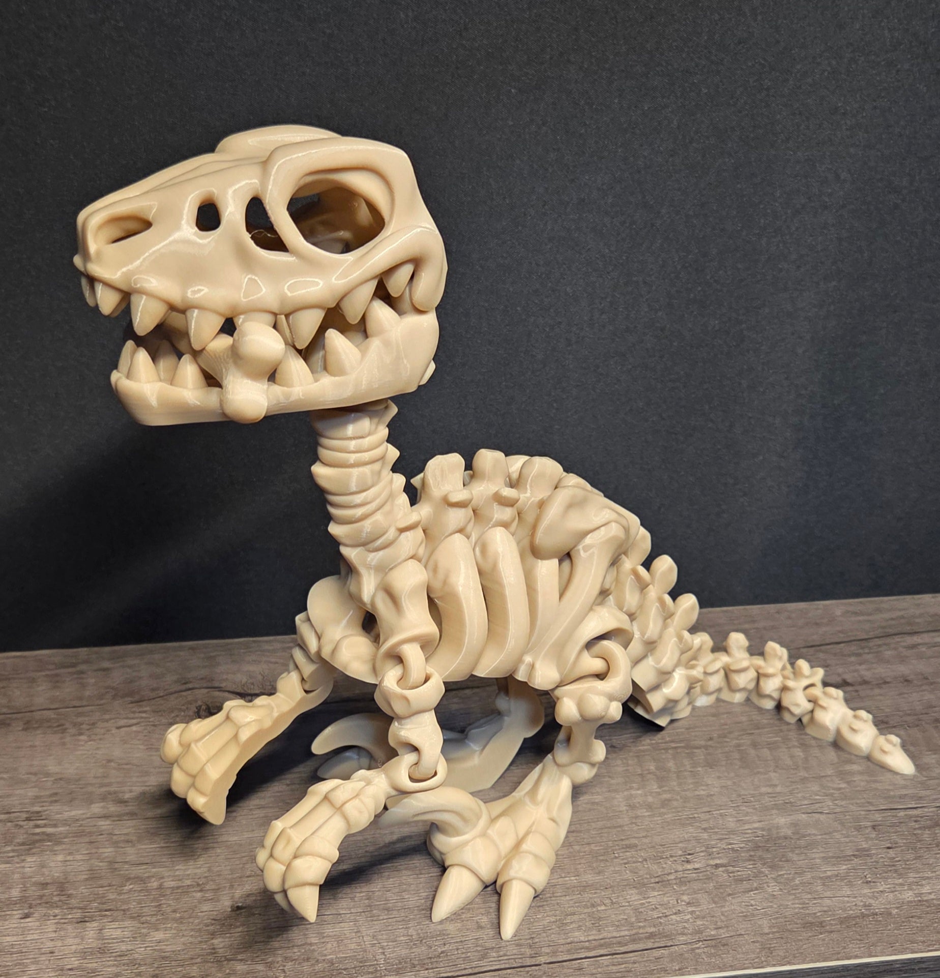 Large 3D Printed Flexi Raptor Skeleton