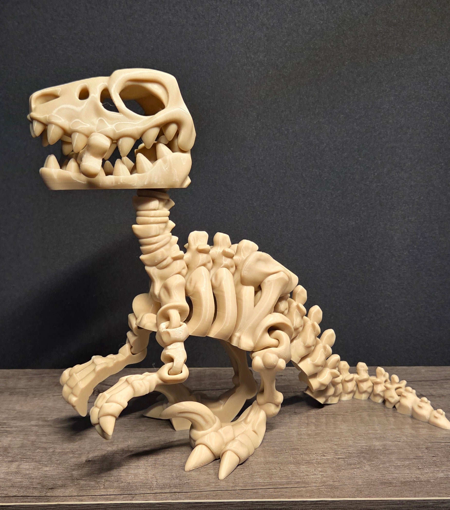 Large 3D Printed Flexi Raptor Skeleton