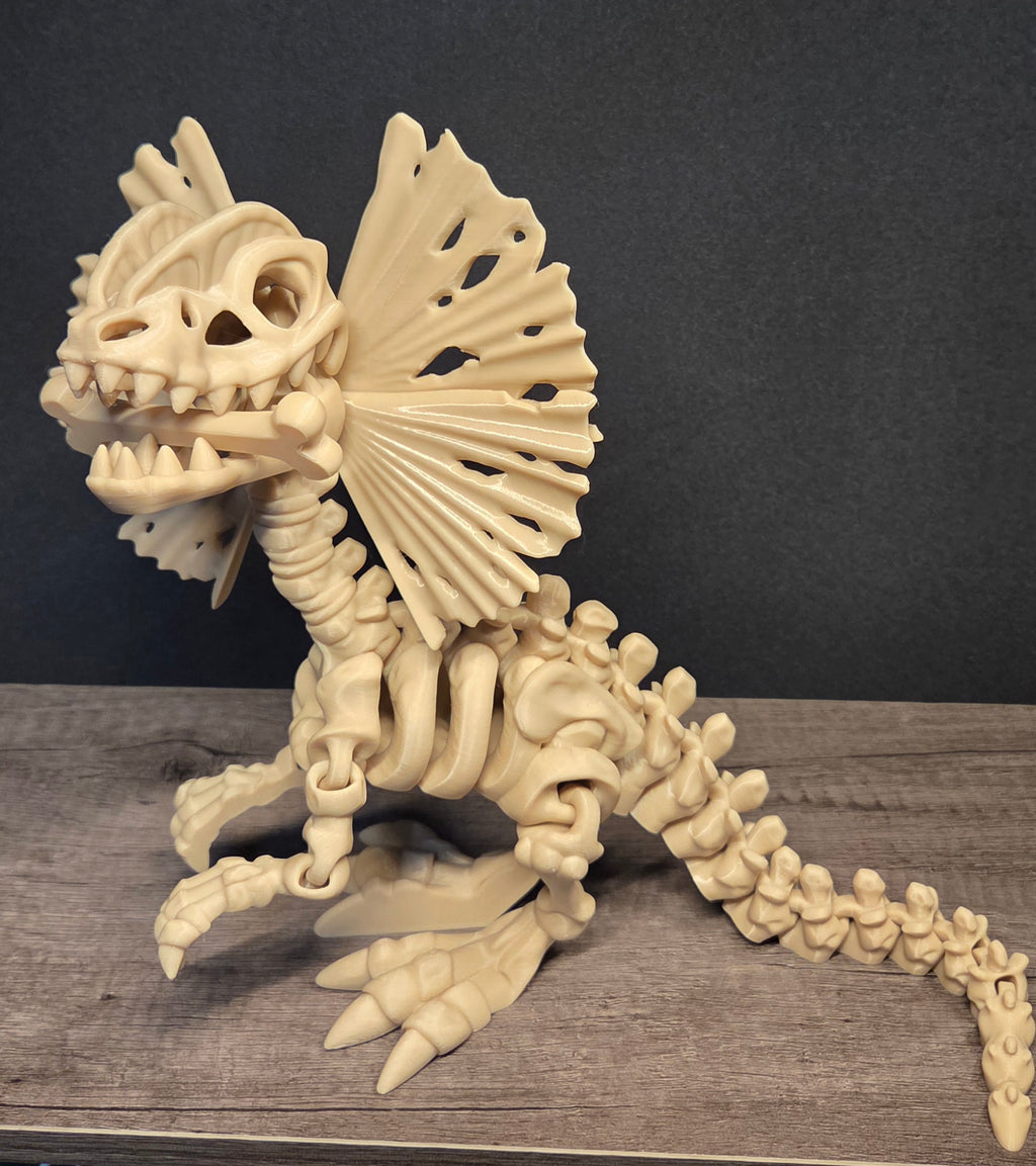 Large 3D Printed Flexi Dilophosaurus Skeleton