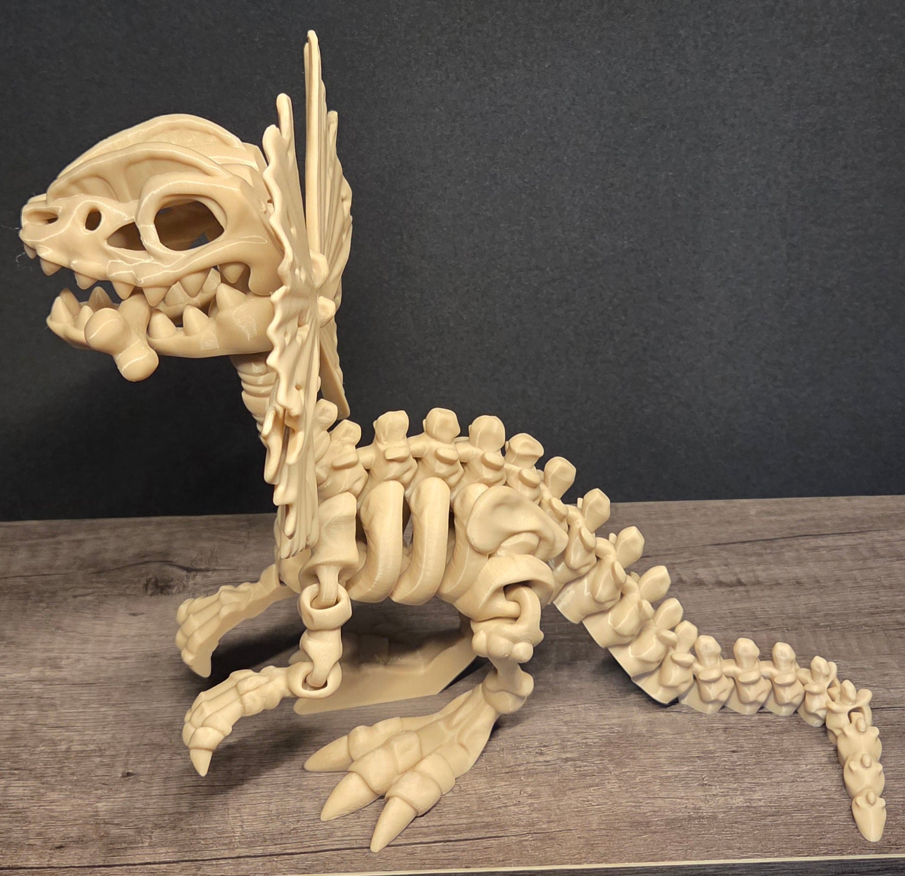 Large 3D Printed Flexi Dilophosaurus Skeleton