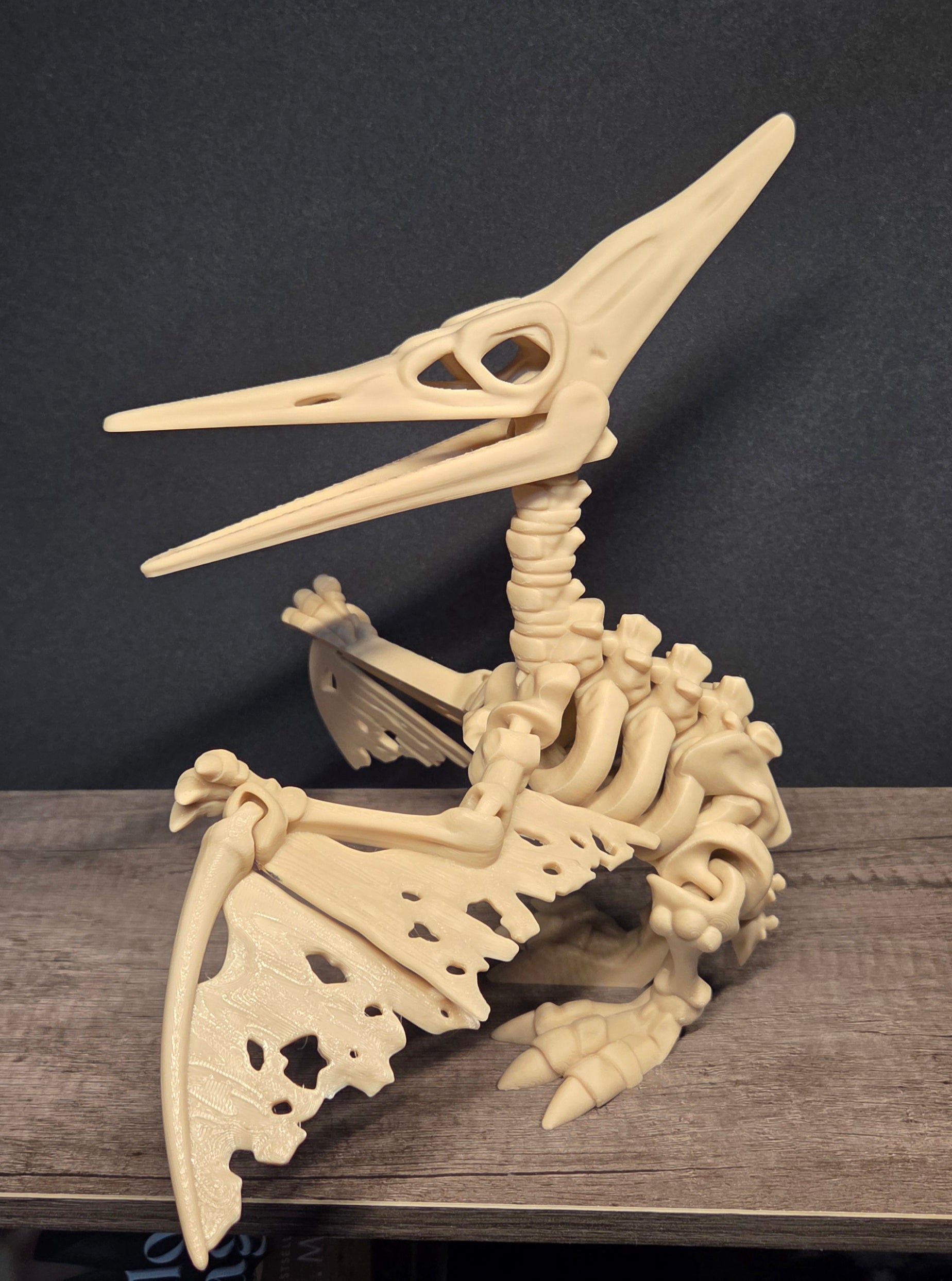 Large 3D Printed Flexi Pterodactyl Skeleton