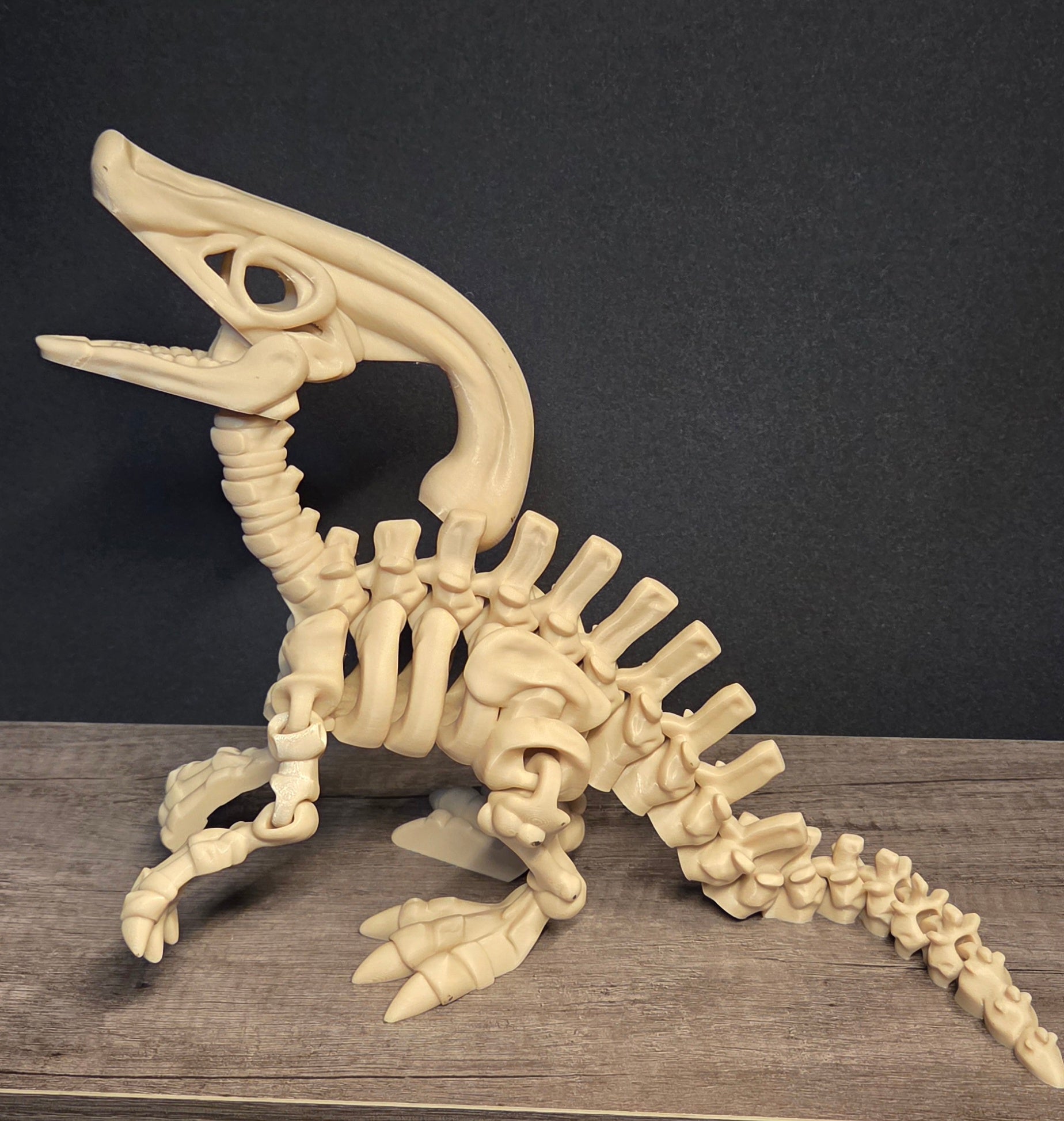 Large 3D Printed Flexi Parasaurolophus Skeleton