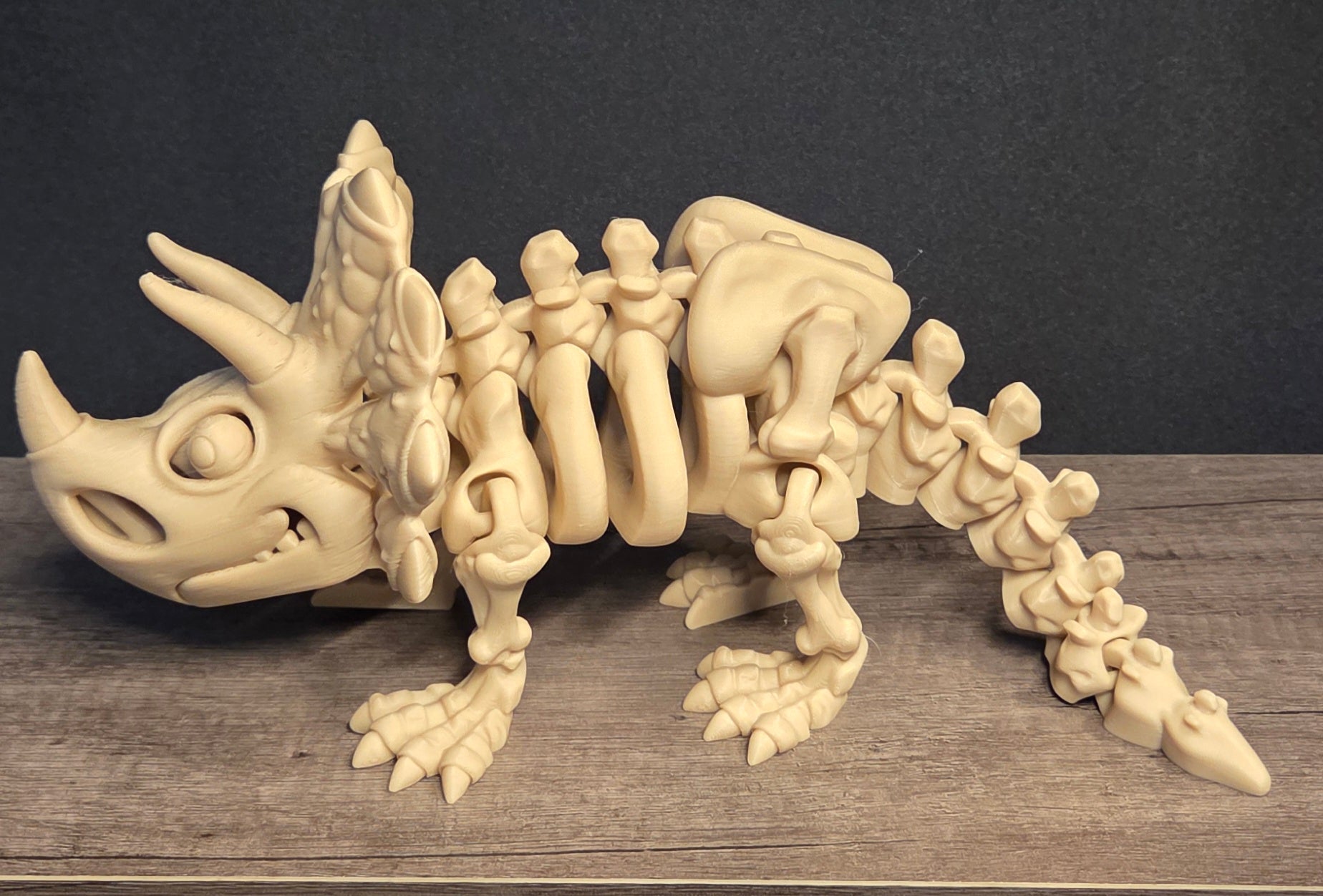 Large 3D Printed Flexi Triceratops Skeleton