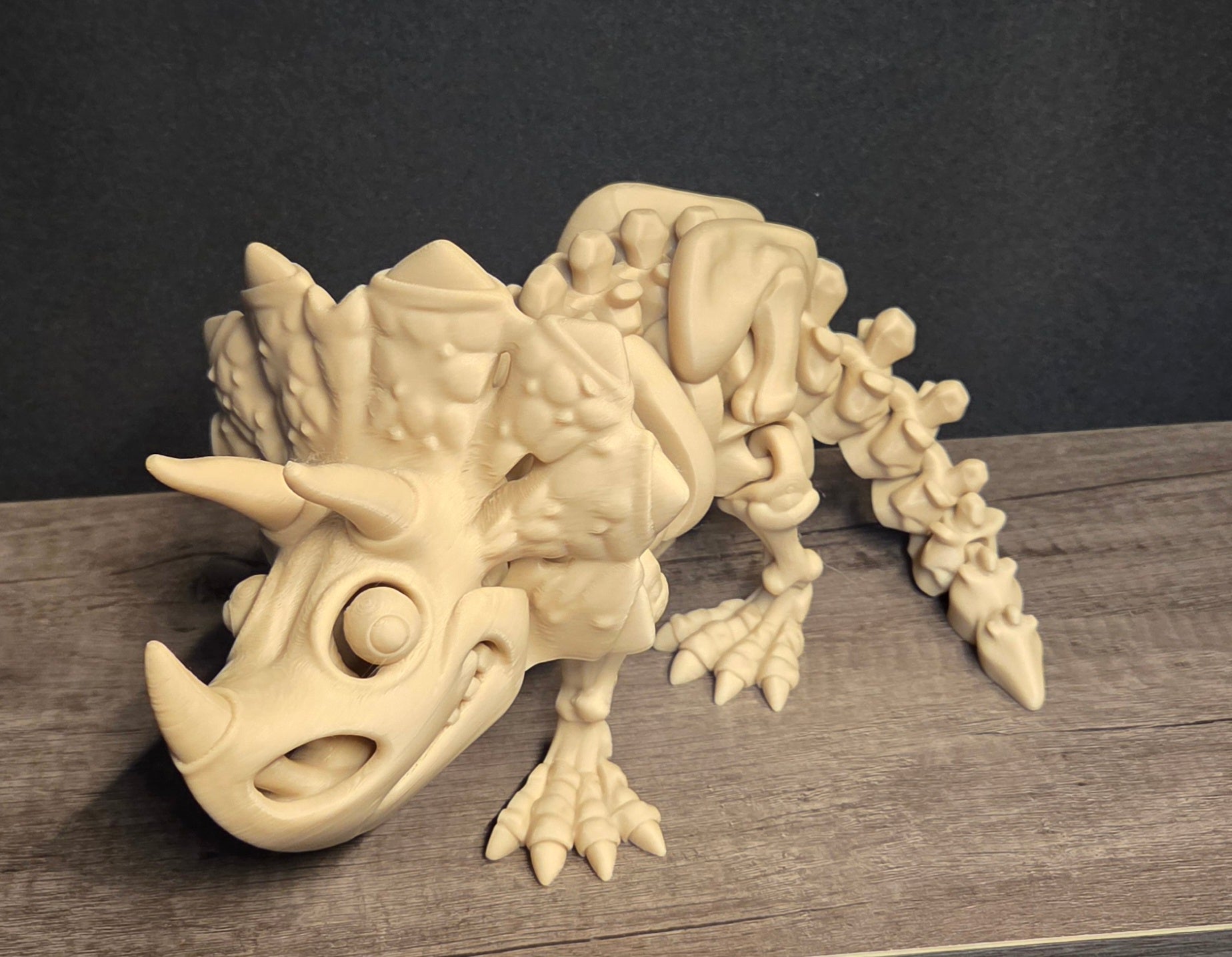 Large 3D Printed Flexi Triceratops Skeleton