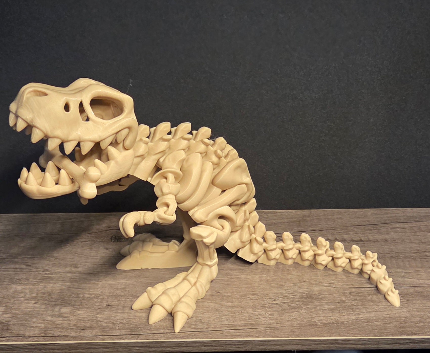 Large 3D Printed Flexi T-Rex Skeleton
