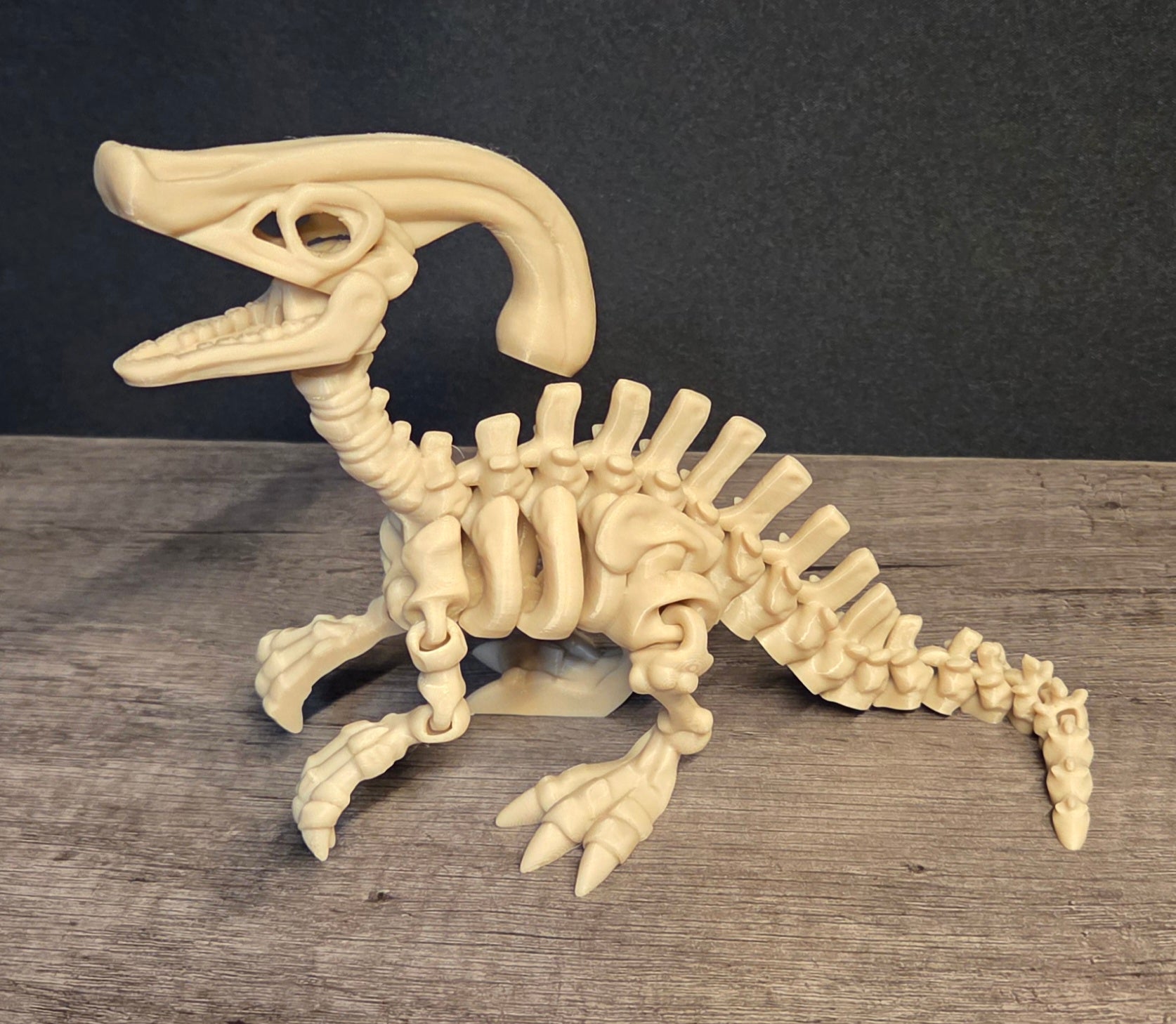 Small 3 D Printed Flexi Parasaurolophus Skeleton