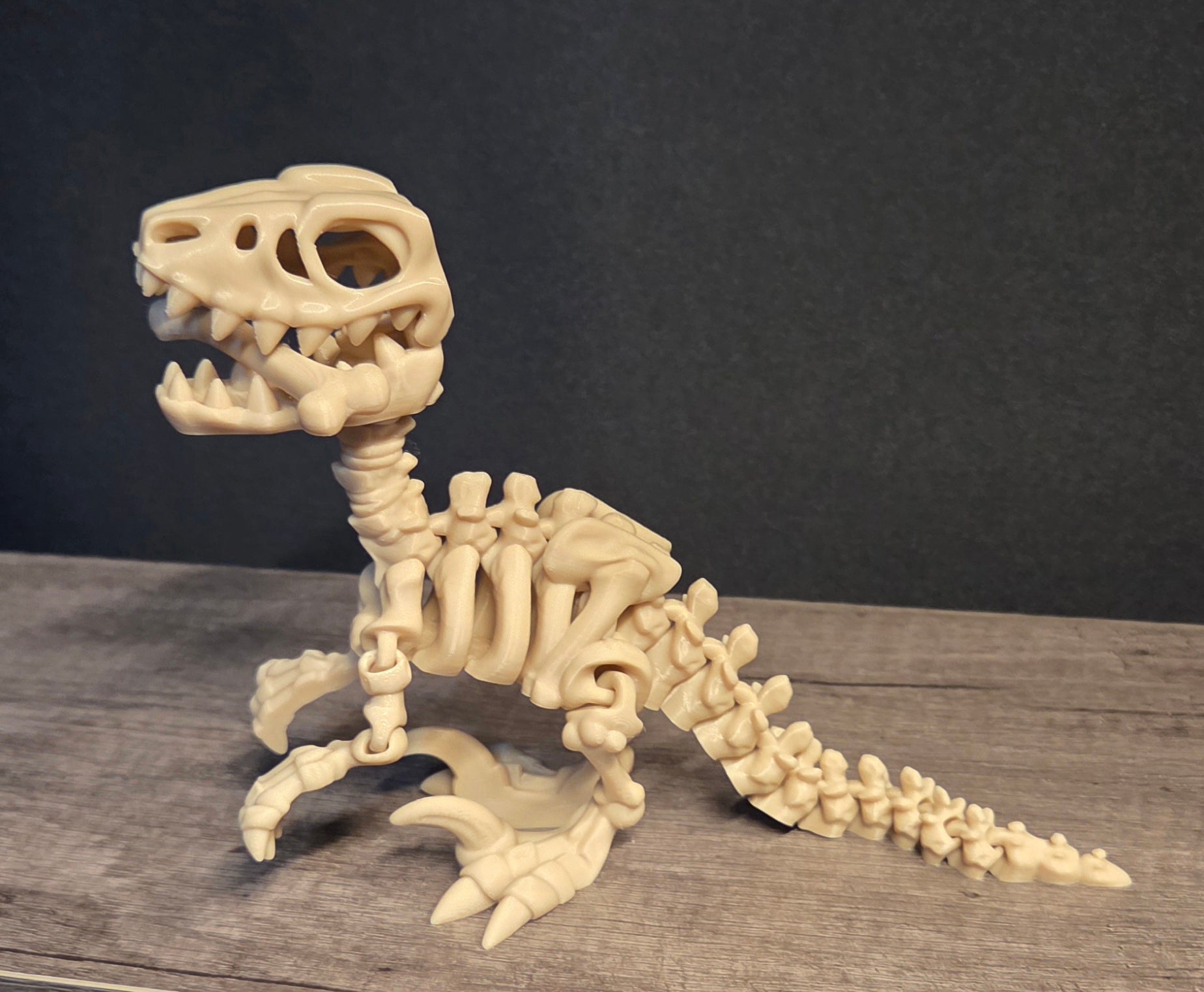 Small 3D Printed Flexi Raptor Skeleton
