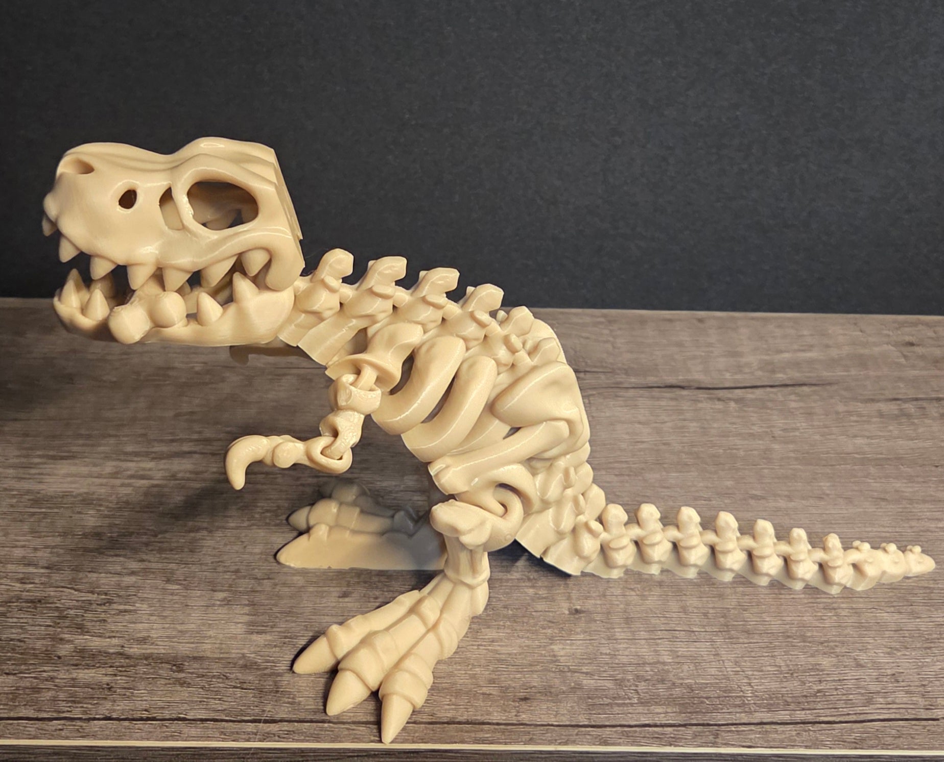 Small 3D Printed Flexi T-Rex Skeleton