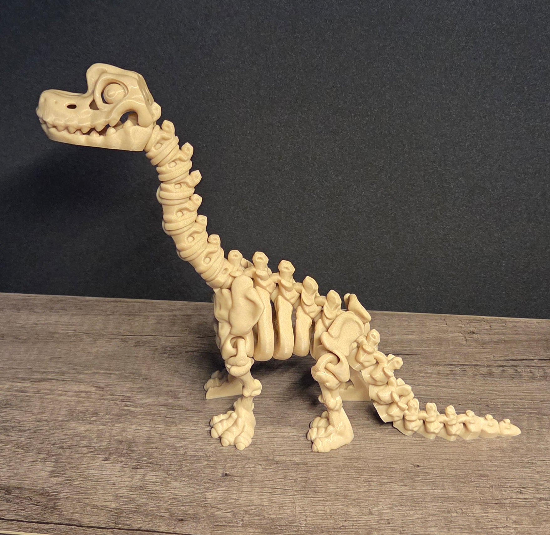 Small 3D Printed Flexi Brachiosaurus Skeleton