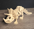 Small 3D Printed Flexi Triceratops Skeleton